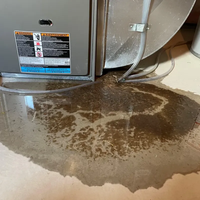 Appliance Leak Cleanup in Frisco, TX