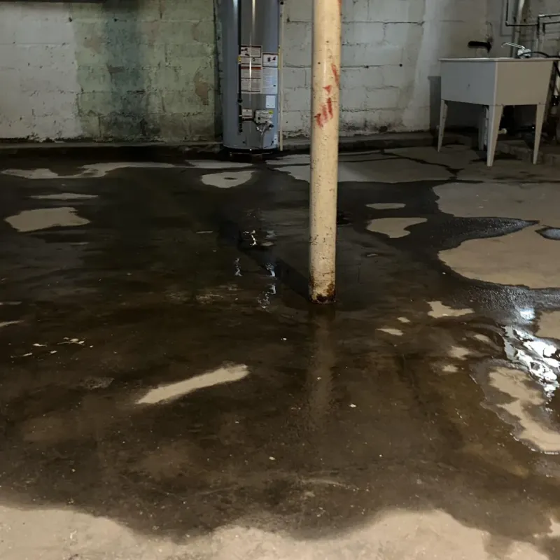 Emergency Water Extraction And Removal in Frisco, TX